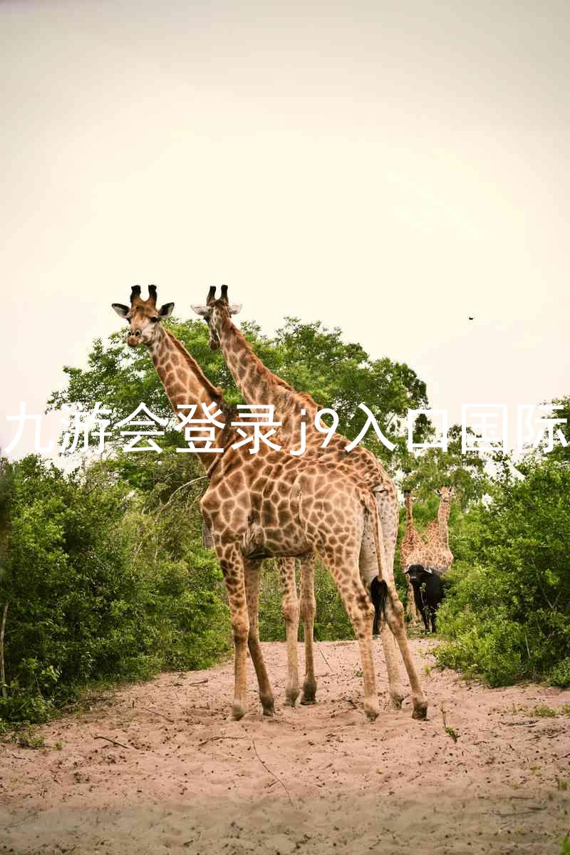 ag九游会登录j9入口国际版