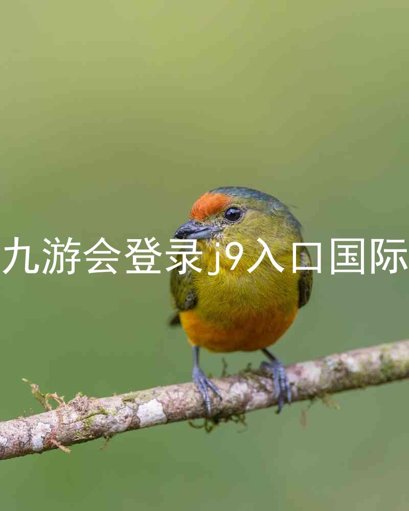 ag九游会登录j9入口国际版